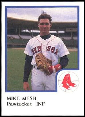 14 Mike Mesh